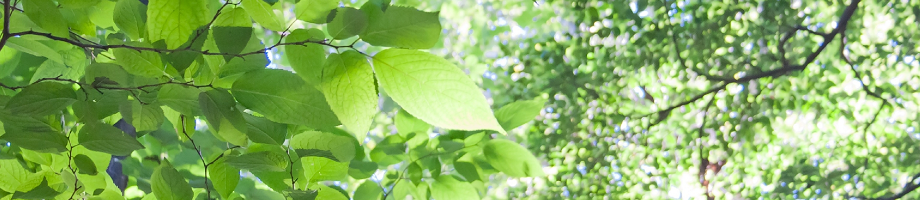 メインイメージ写真